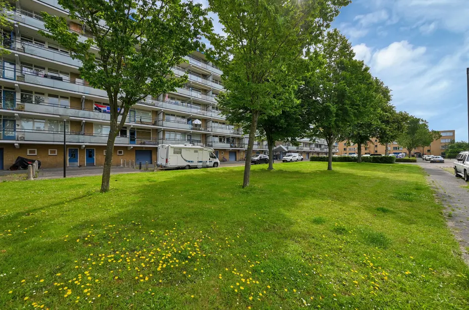 Buizerdstraat 240