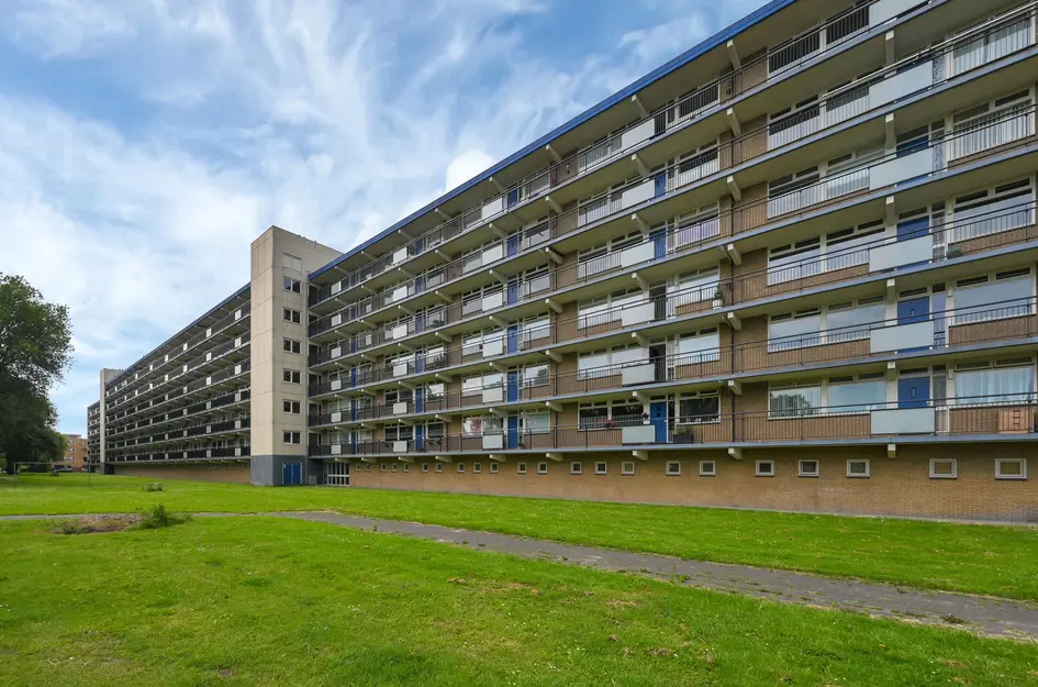 Buizerdstraat 240