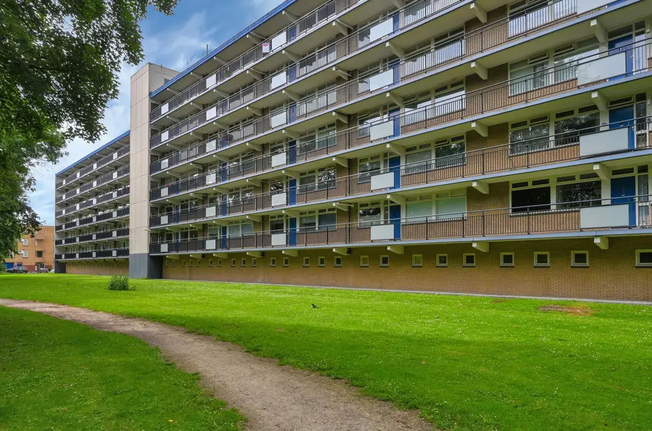 Buizerdstraat 240