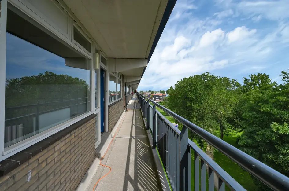 Buizerdstraat 240