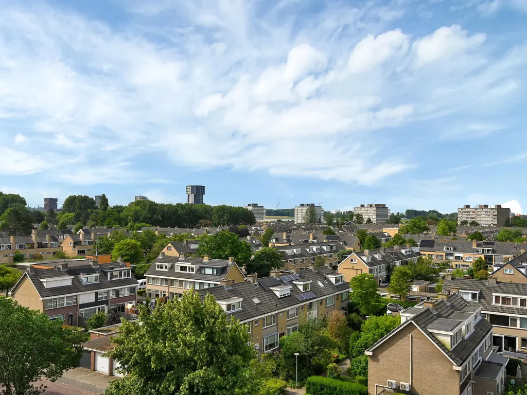 Buizerdstraat 240, MAASSLUIS