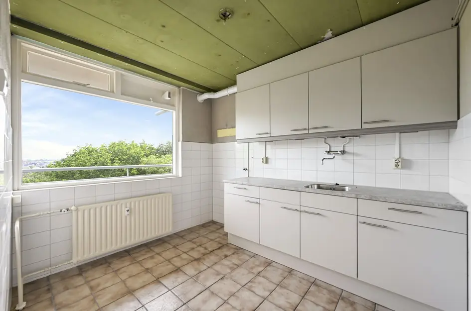 Buizerdstraat 240