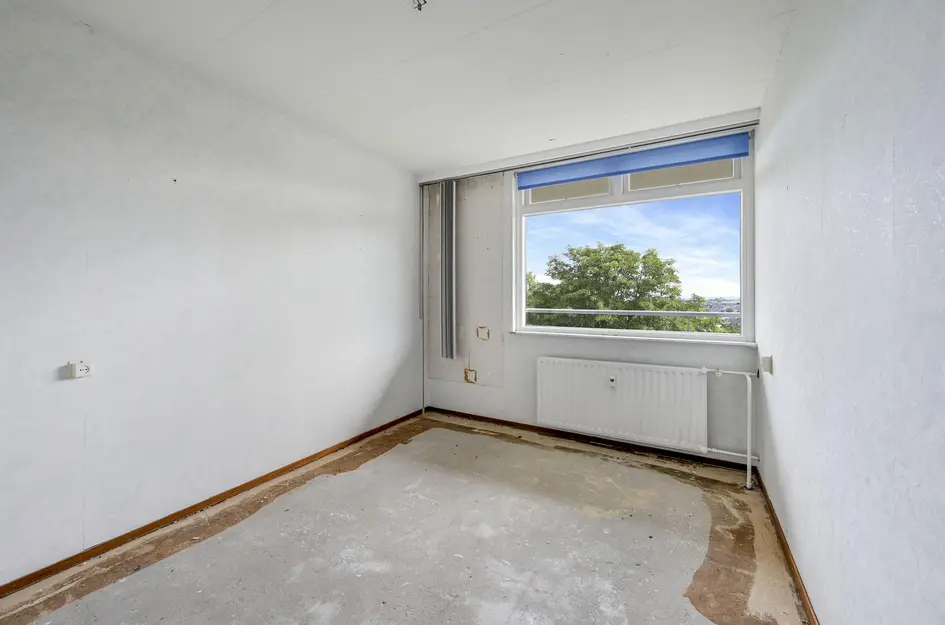 Buizerdstraat 240