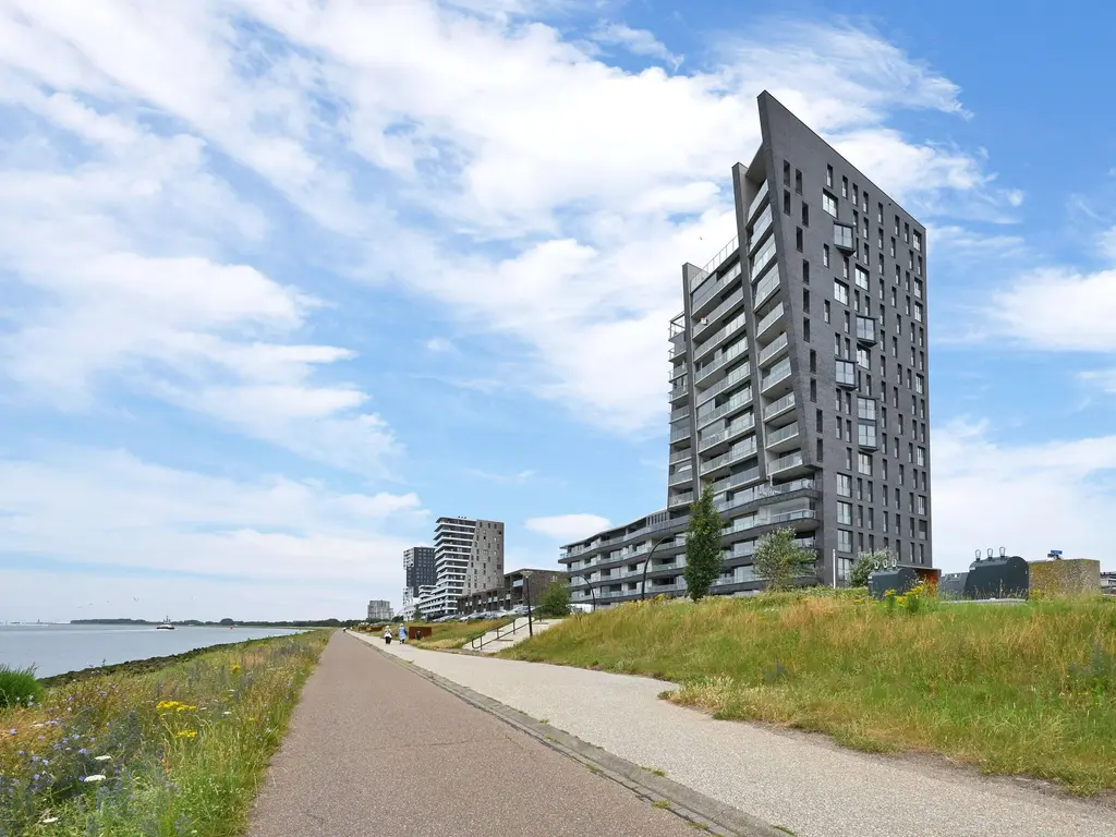 Elbe 46, MAASSLUIS