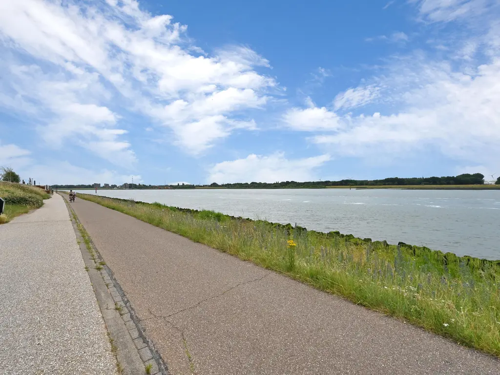 Elbe 46, MAASSLUIS