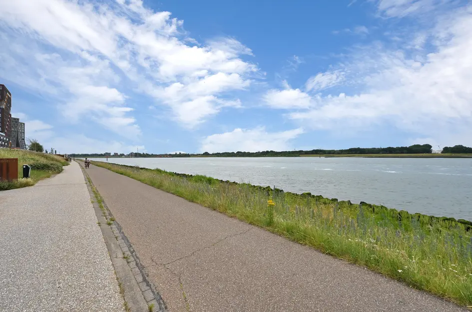Elbe 46