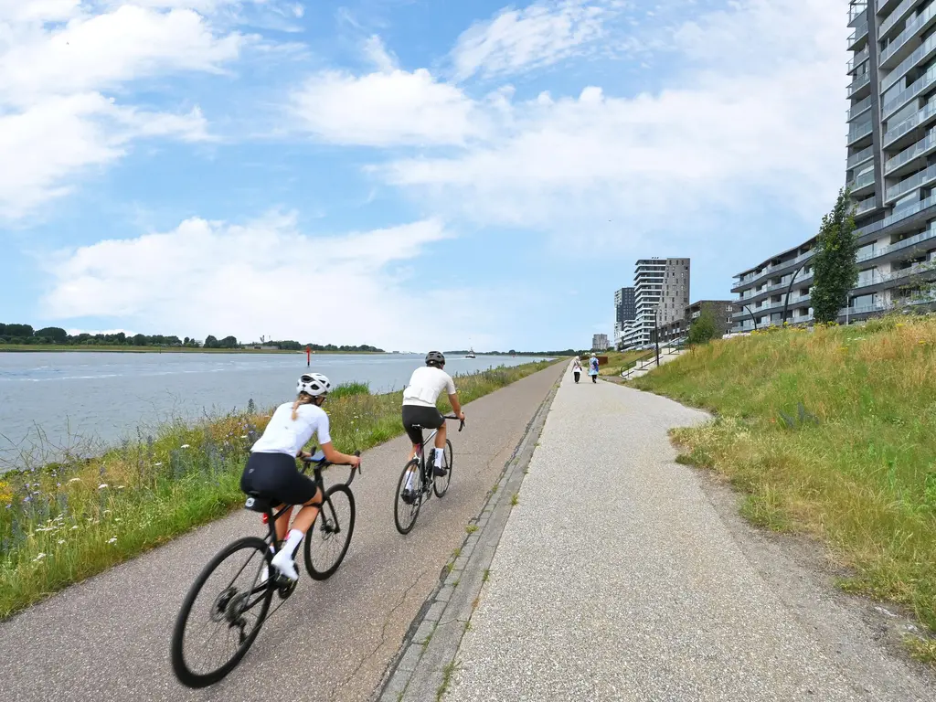 Elbe 46, MAASSLUIS