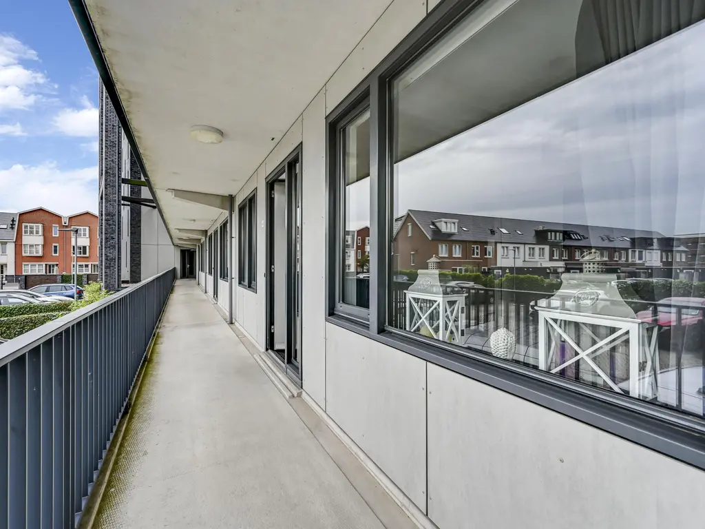 Elbe 46, MAASSLUIS