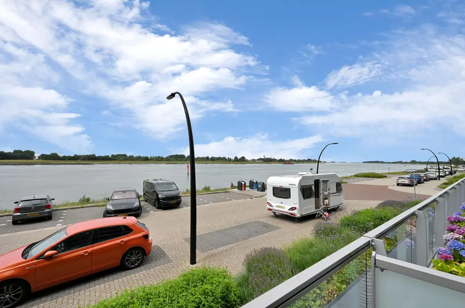 Elbe 46
