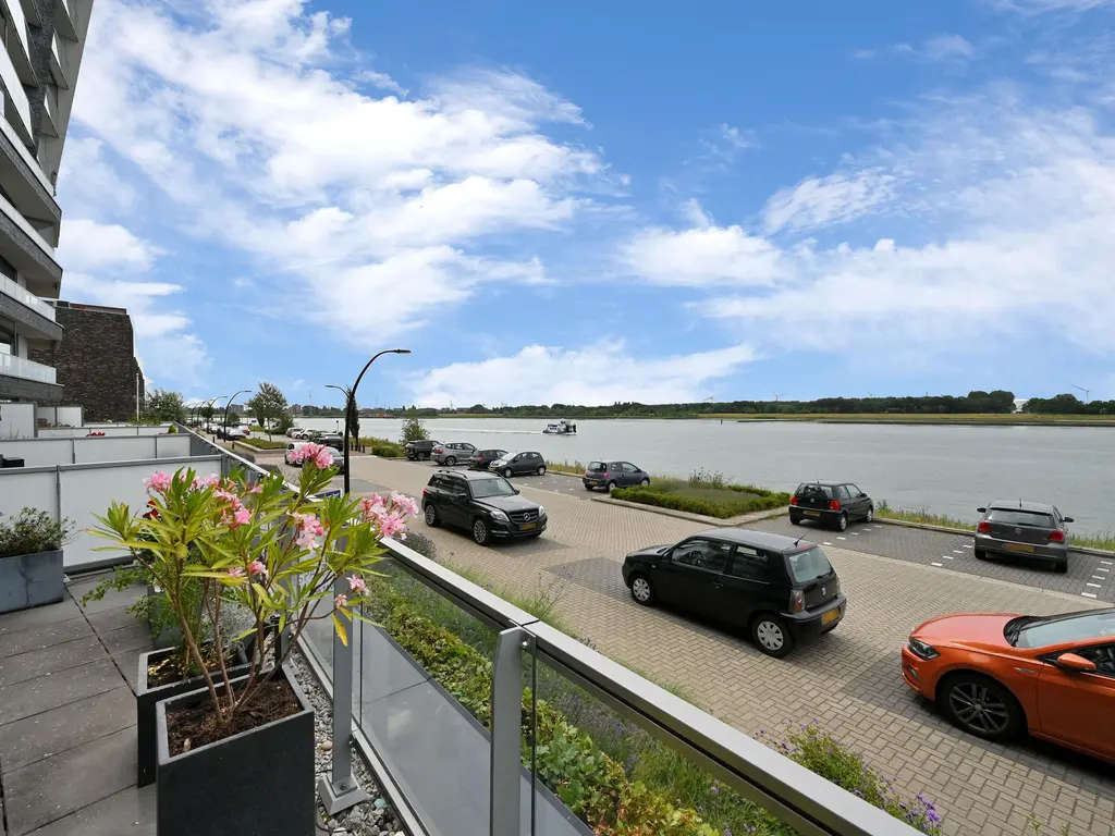 Elbe 46, MAASSLUIS