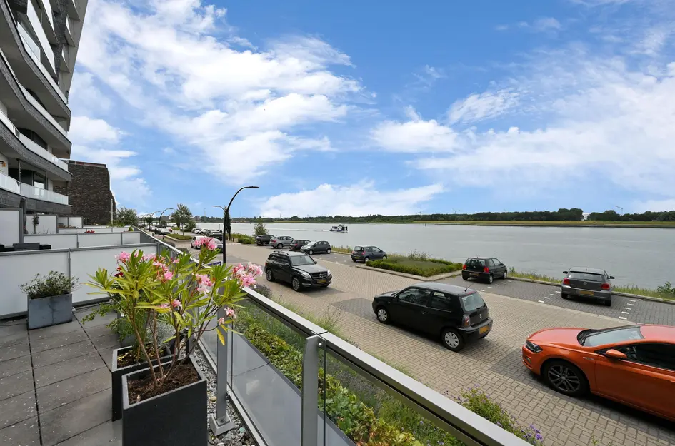 Elbe 46