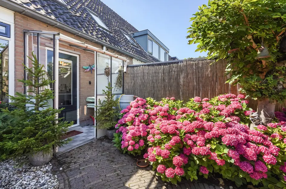 Beelstraat 50