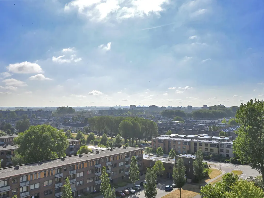 Merellaan 1163, MAASSLUIS