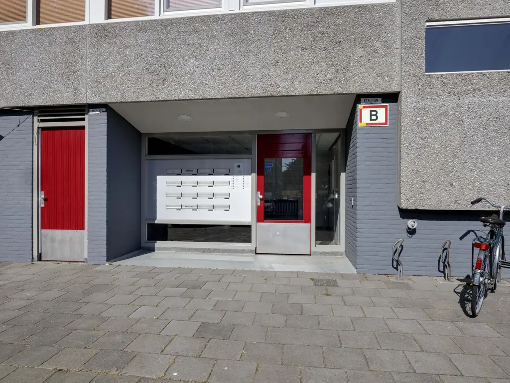Merellaan 109, MAASSLUIS