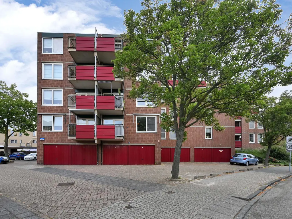 Buis 91, MAASSLUIS