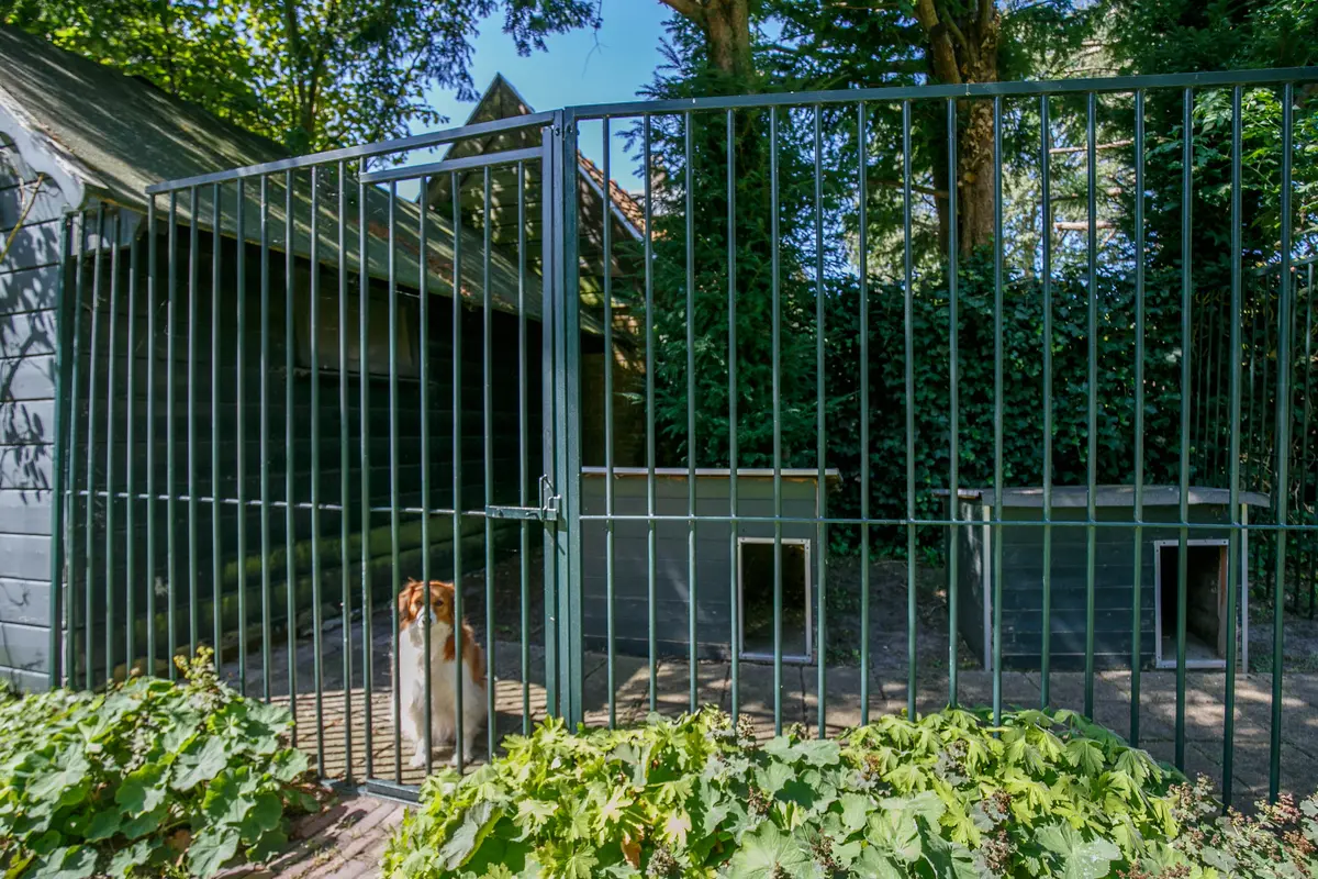 Kennel