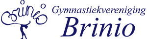 logo G.V.Brinio