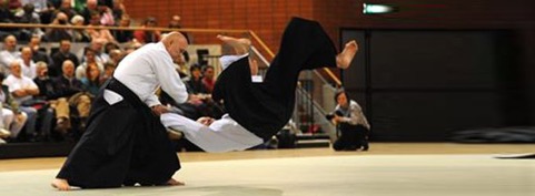Aikido Wago No Michi Brielle