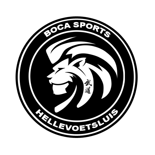logo BOCA sports