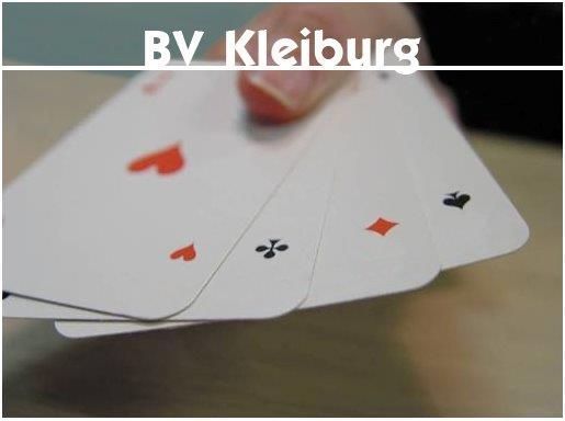 logo Bridgevereniging Kleiburg