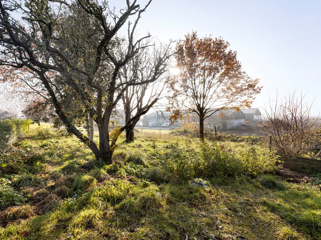 Stadsedijk 95, Oudemolen