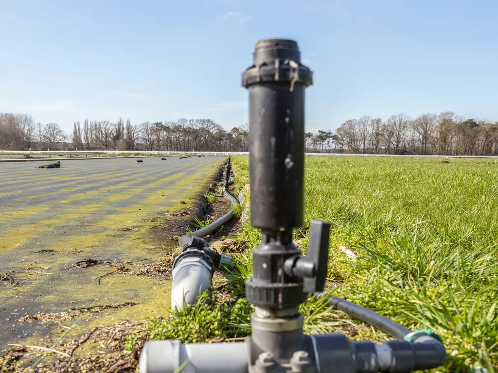 Heerlesebaan 32, Bergen op Zoom