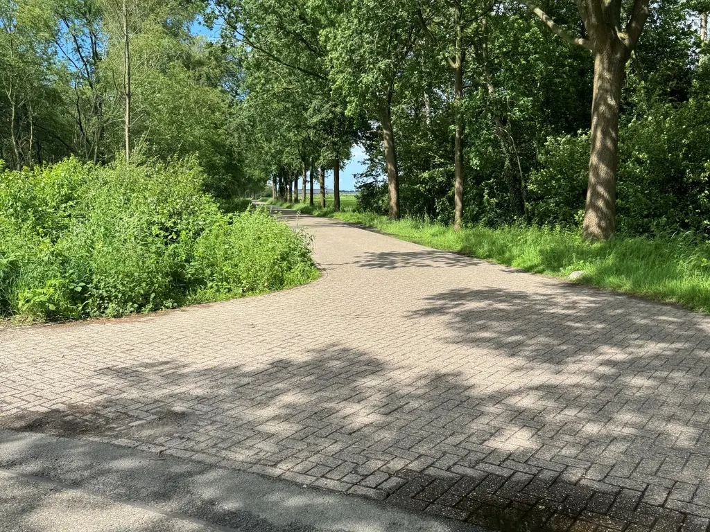 Tervoortseweg ONG, Bavel