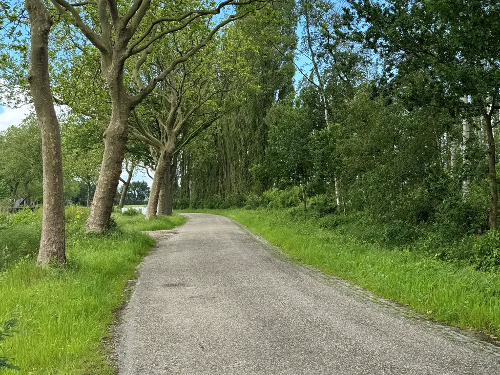 Tervoortseweg ONG, Bavel