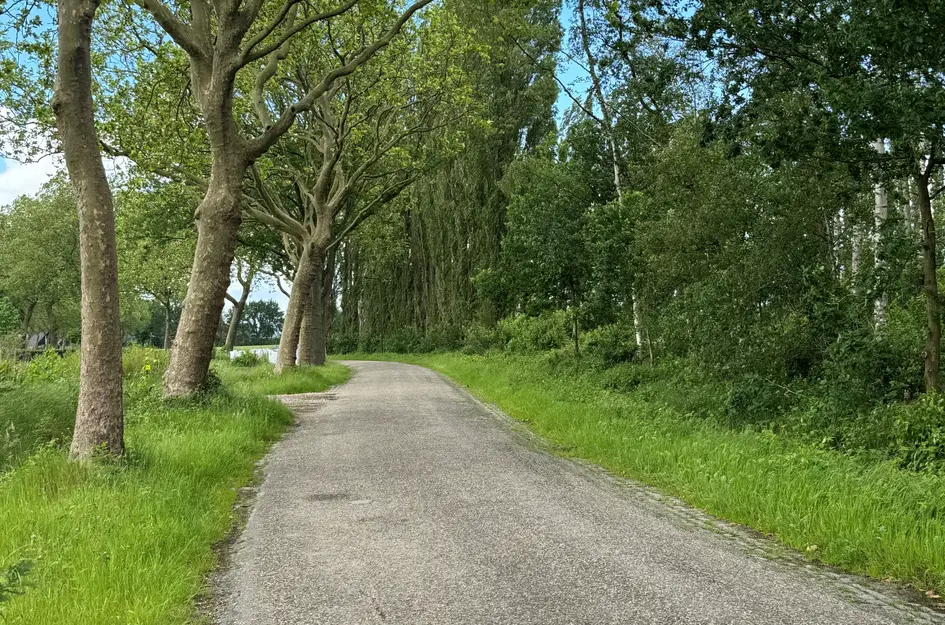 Tervoortseweg ONG