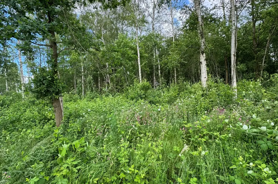 Tervoortseweg ONG