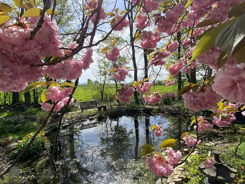 Marktje 57, Woensdrecht