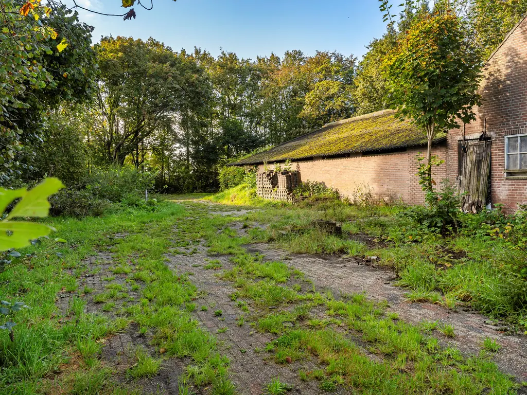 Zwarte Dijk 47, Rijen