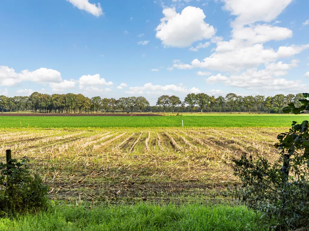 Zwarte Dijk 47, Rijen