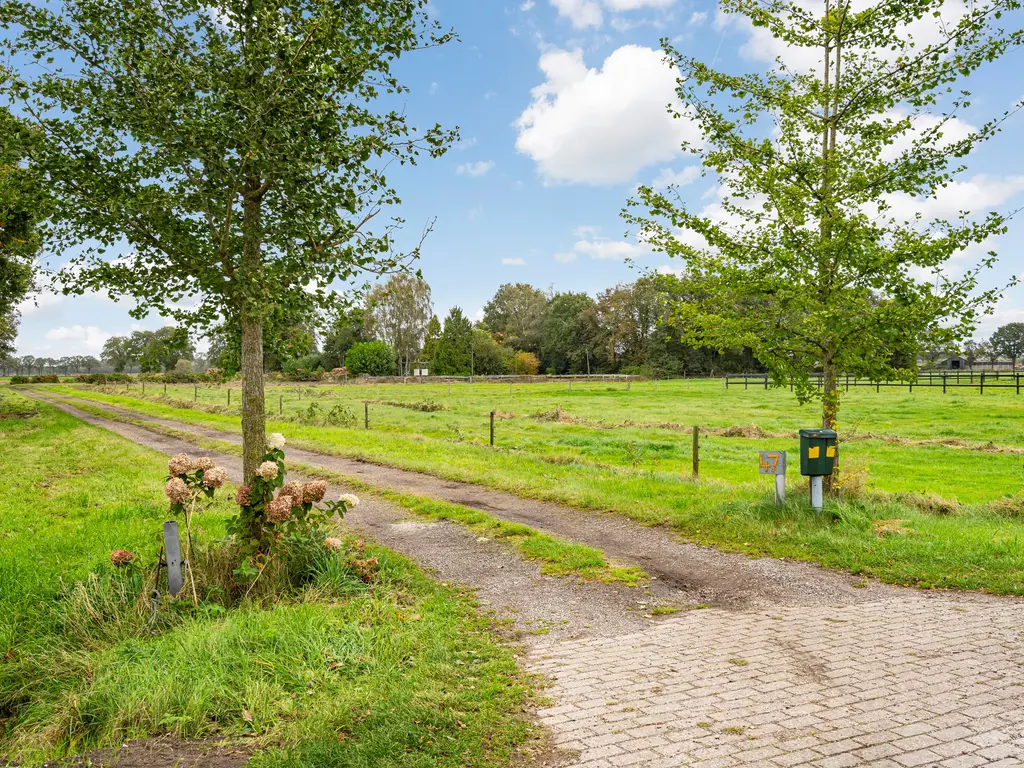 Zwarte Dijk 47, Rijen