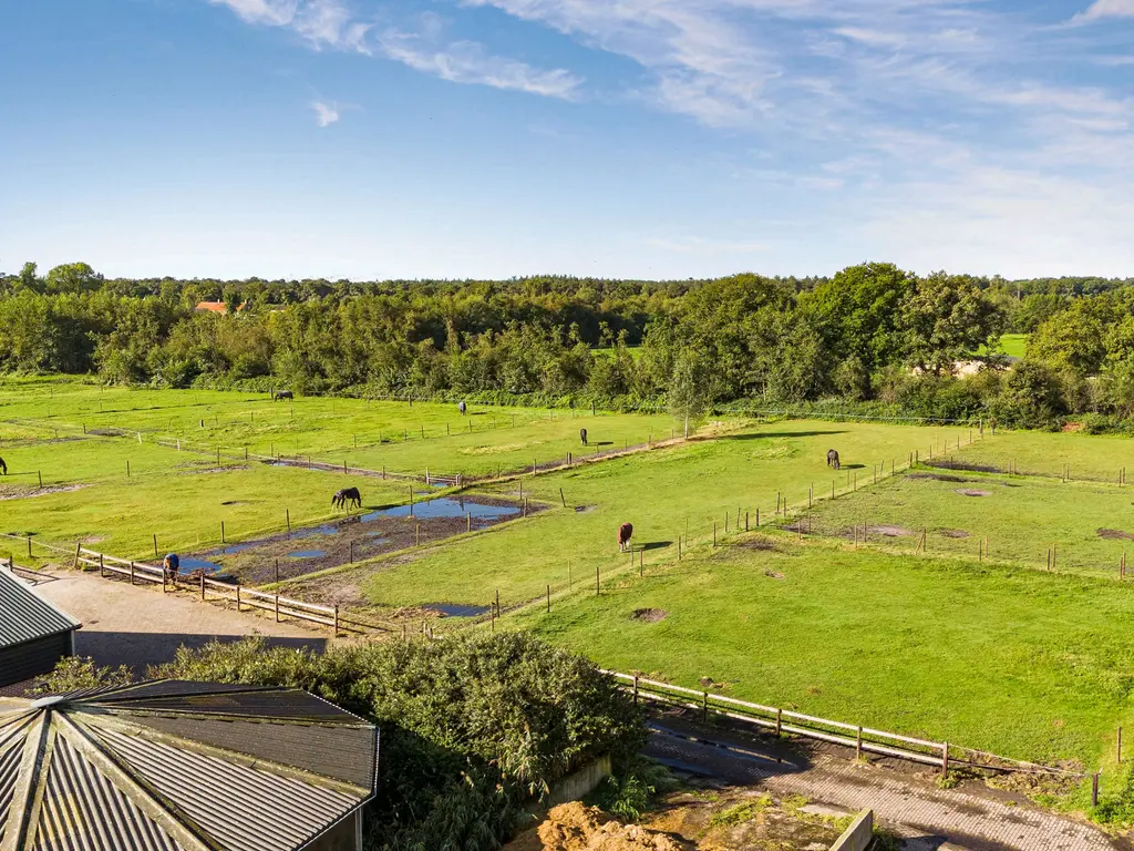 Nederheide 9A, Schijf