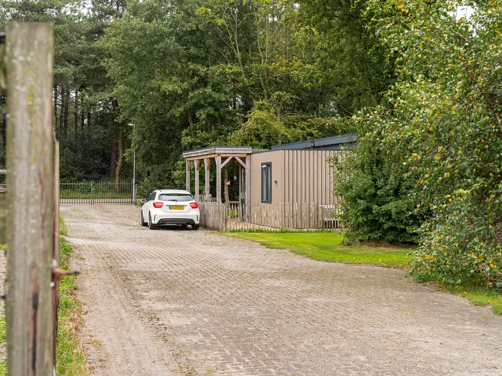 Nederheide 9A, Schijf