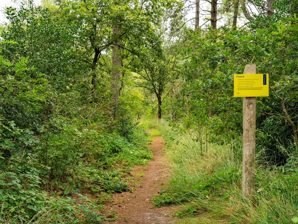 Nederheide 9A, Schijf