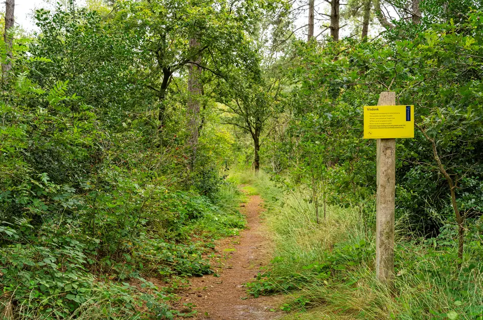 Nederheide 9A