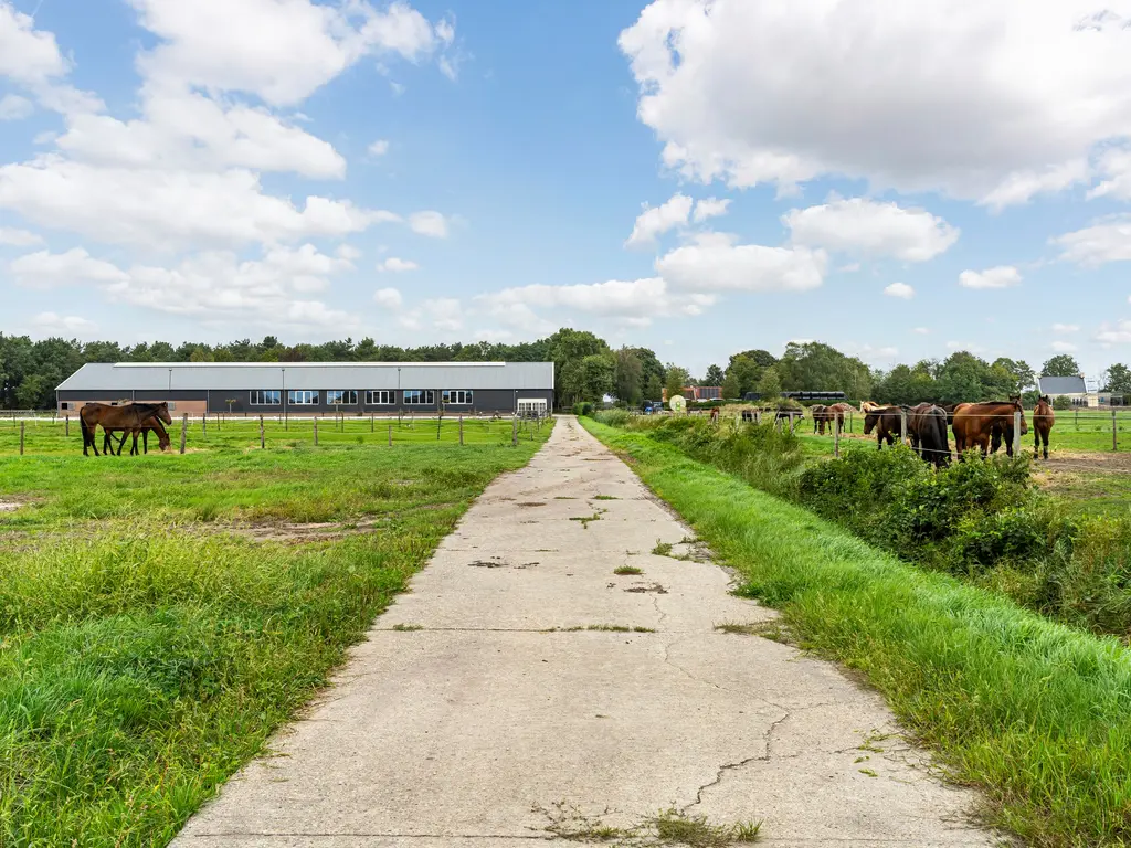 Nederheide 9aa, Schijf