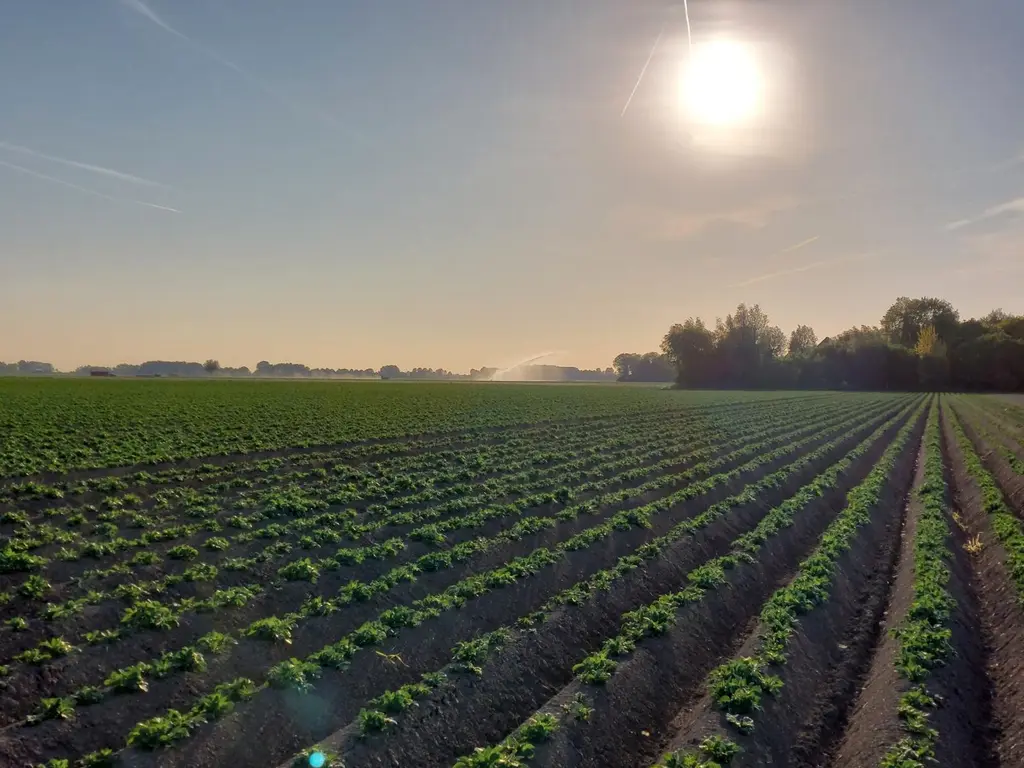 Kleinedijk 1, Dinteloord