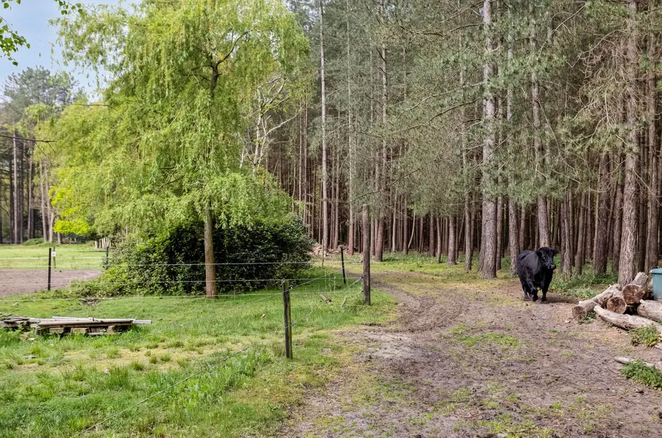 Zuidgeest 1A