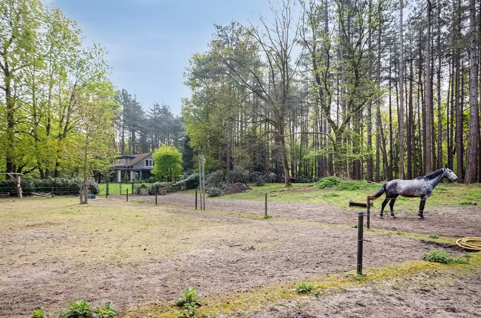 Zuidgeest 1A
