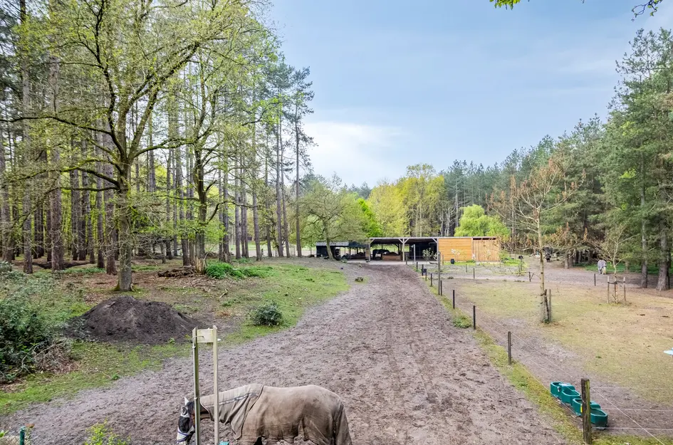 Zuidgeest 1A