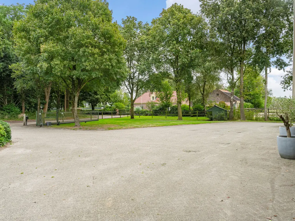 Nederheide 9A, Schijf
