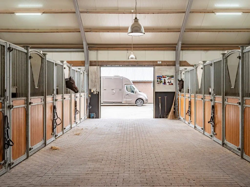 Nederheide 9A, Schijf
