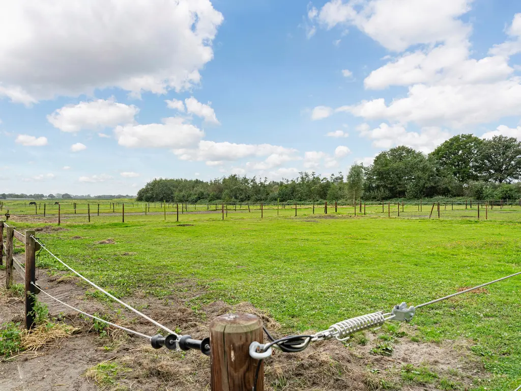 Nederheide 9A, Schijf