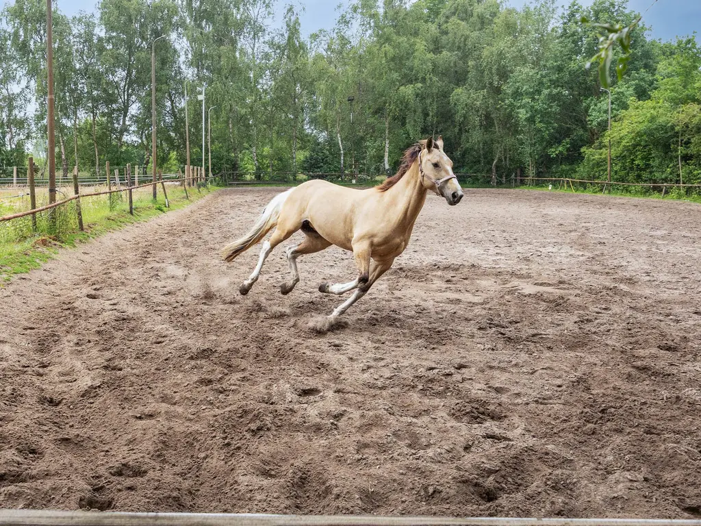 Bellendreef 4, Etten-Leur
