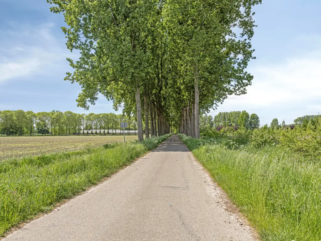 Dijkbeemd 3, Best
