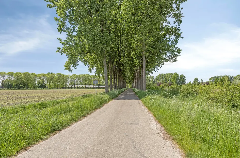 Dijkbeemd 3