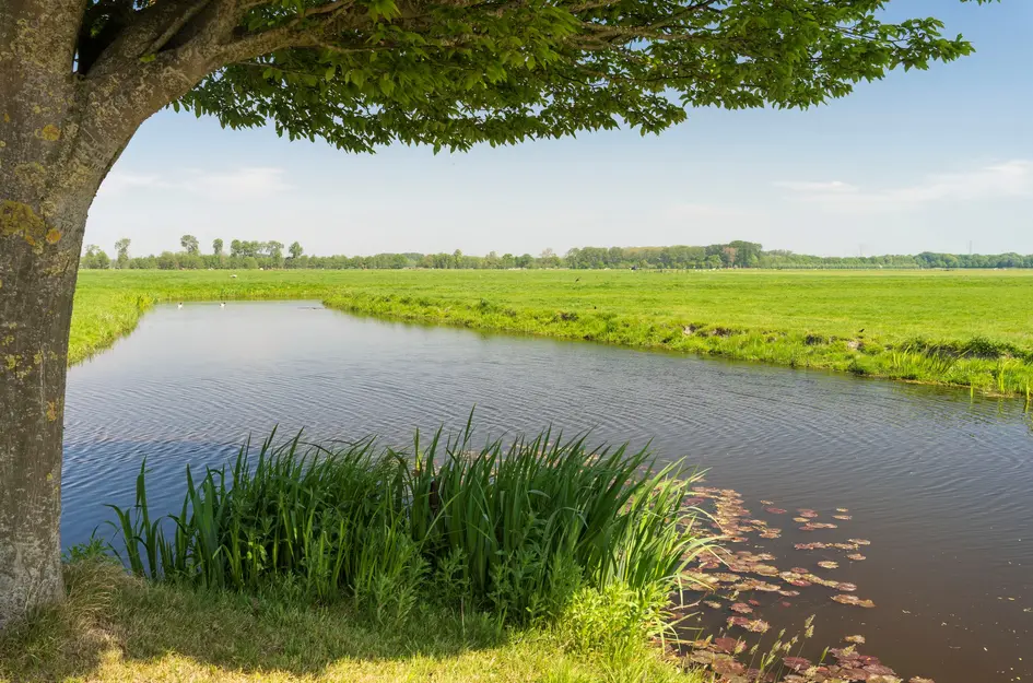 Raaphorstlaan 18B